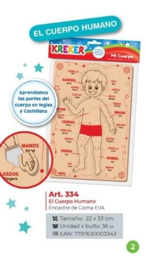 El Cuerpo Humano