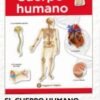 El Cuerpo Humano Aprendo Con Stickers