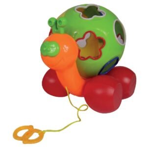 Caracol Didactico (1)