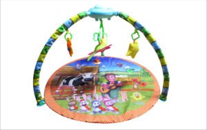 Gym Proyector-granja De Zenon