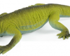 Lizard