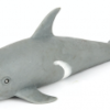 Delfin