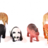 Animales De La Selva Chicos 16cm
