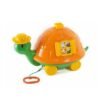 Tortuga Manuelita
