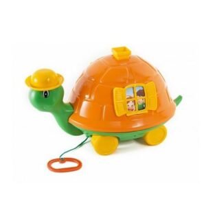 Tortuga Manuelita