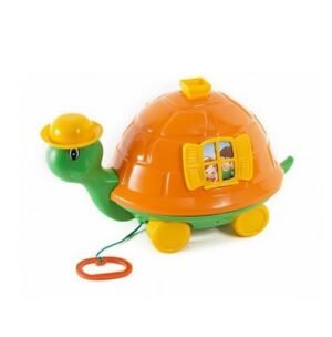 Tortuga Manuelita
